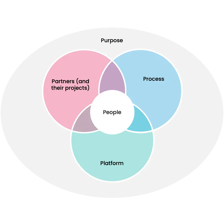 The 5Ps model